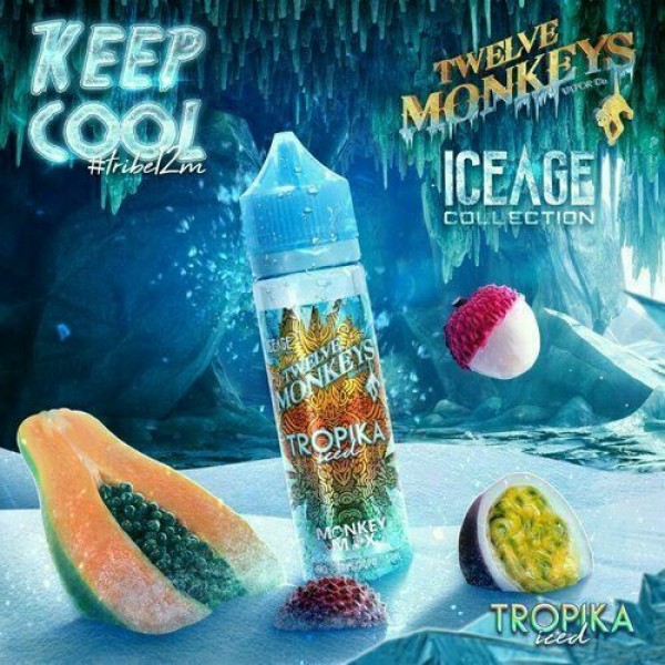 Twelve Monkeys - Tropika Iced