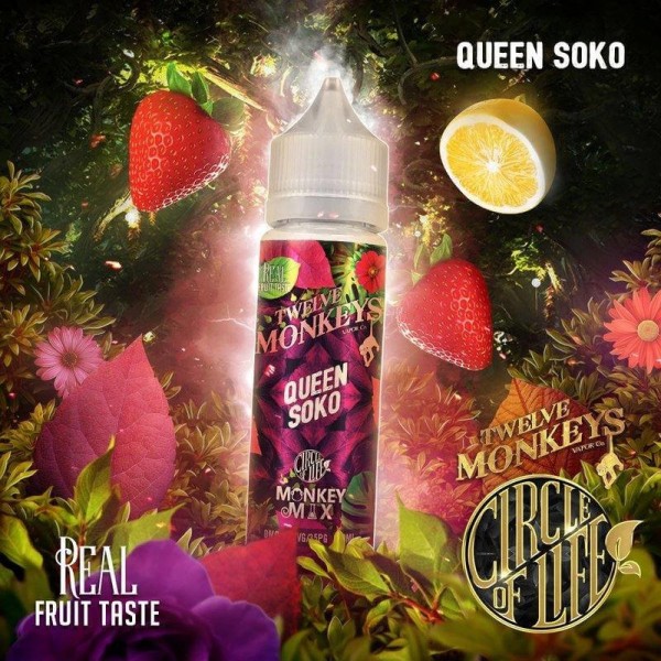 Twelve Monkeys - Circle of Life Queen Soko Monkey Mix